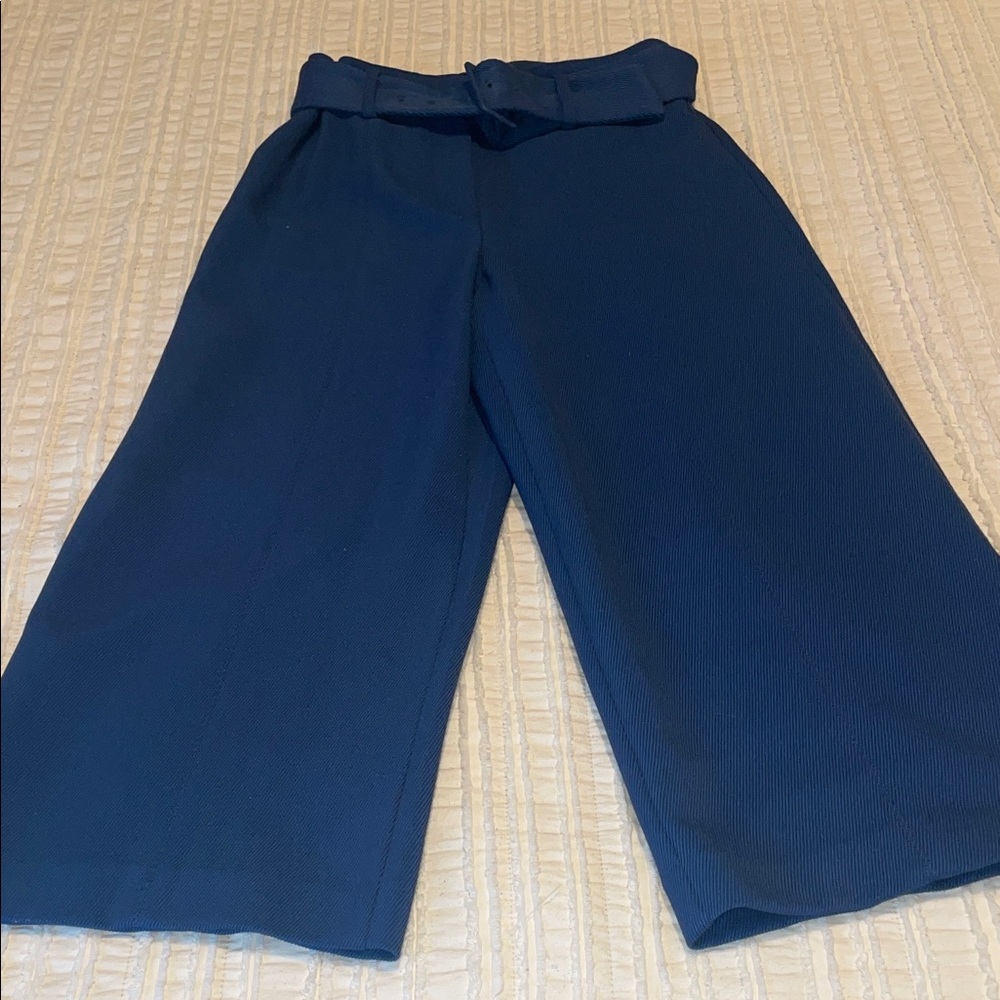 Ann Taylor Navy Wide Leg Belted Pants